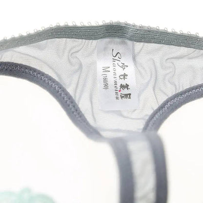 Sexy ladies embroidered panties - Urban Trend Fashion